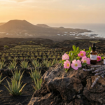 Prírodná kozmetika z Kanárskych ostrovov – plantáž aloe vera s vulkanickou krajinou a prírodnými olejmi
